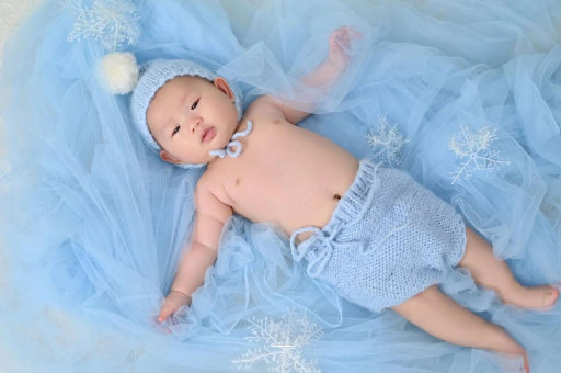 淮滨宝宝树怎么样